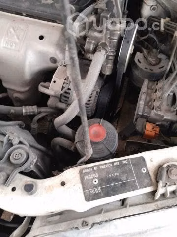 Honda Accord EXR 1999