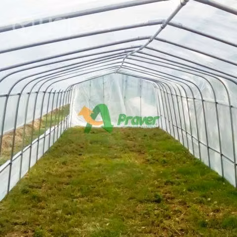 Ventana o puerta praver para invernaderos