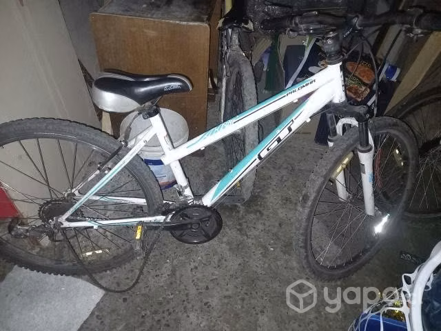 Bicicleta - Imagen 2