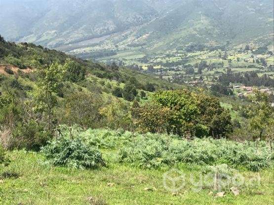 Terreno pucalan alto - Imagen 4