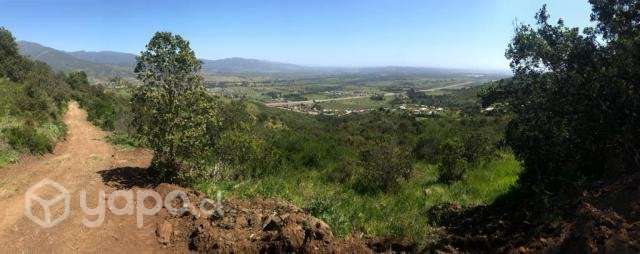 Terreno pucalan alto - Imagen 3