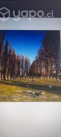 Sepultura parque del sendero maipu