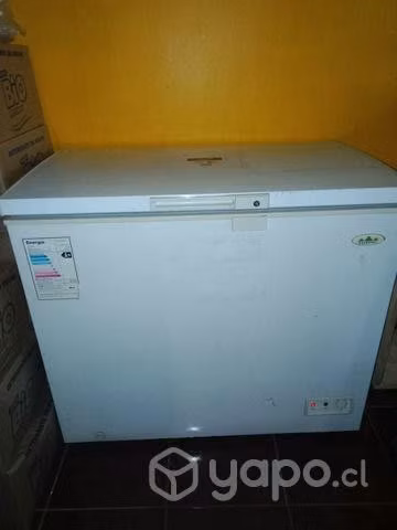 Cortadora de cecinas y congelador