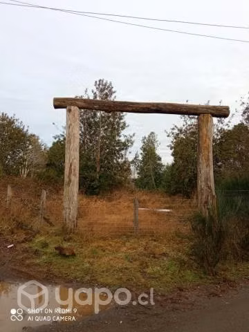 Parcela - Imagen 7