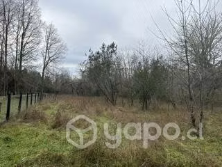 Parcela 2500 m2 cerca Valdivia