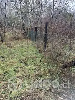 Parcela 2500 m2 cerca Valdivia