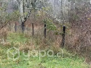 Parcela 2500 m2 cerca Valdivia