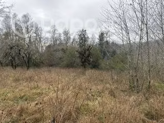 Parcela 2500 m2 cerca Valdivia