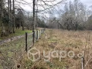 Parcela 2500 m2 cerca Valdivia