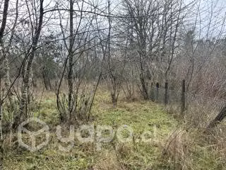 Parcela 2500 m2 cerca Valdivia
