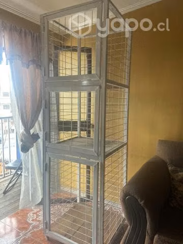 Peluquería canina accesorios