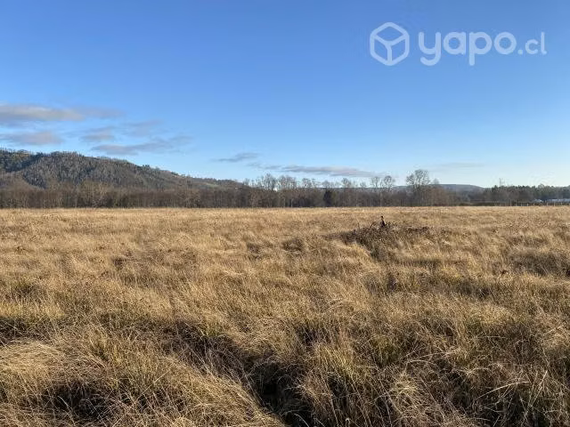 Parcela Rol Propio, Panguipulli