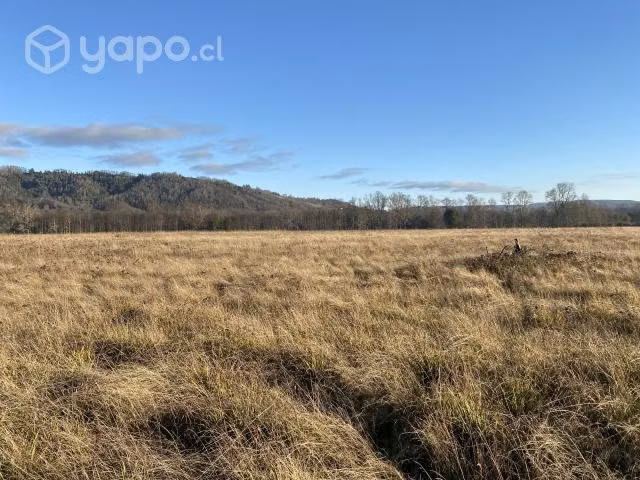 Parcela Rol Propio, Panguipulli