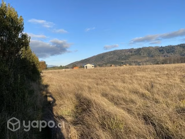 Parcela Rol Propio, Panguipulli