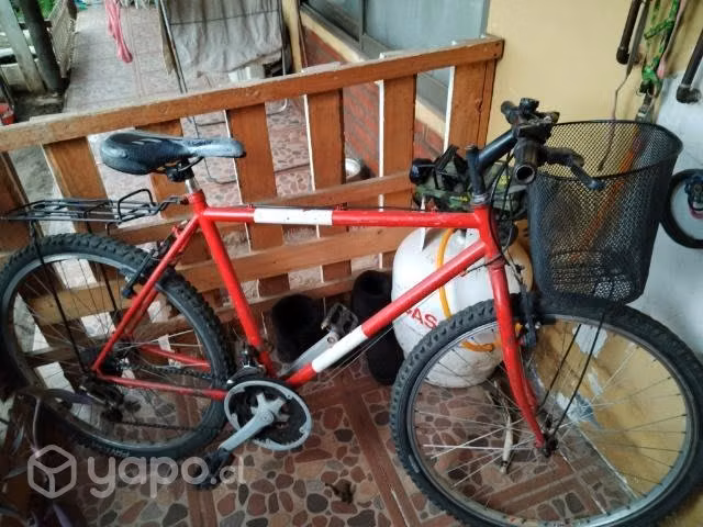 Bici