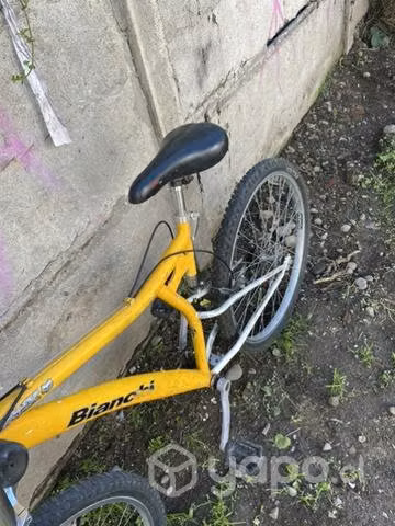 Bicicleta bianchi aro 26