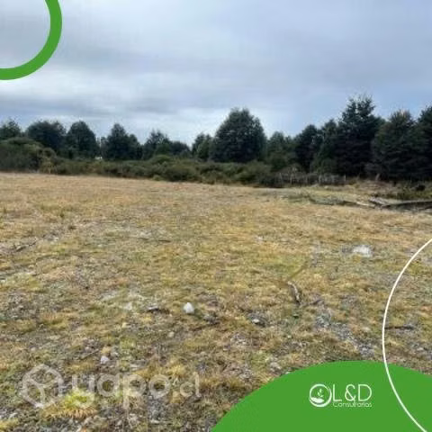 Sitio 5000 mt2 sector empresarial - Imagen 4