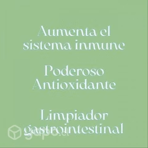 Aceite de Orégano 100% puro (5 ml)
