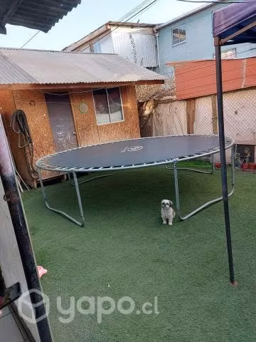 hermoso y amplio departamento - Imagen 13