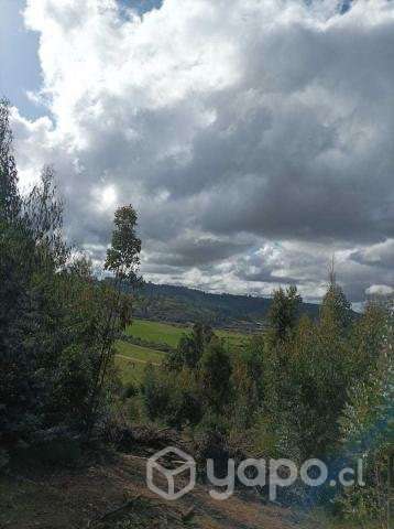 Terreno en Marchihue - Imagen 2