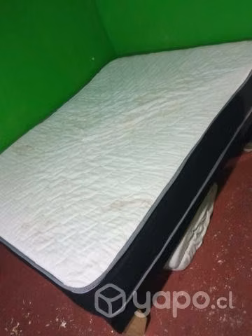 Cama
