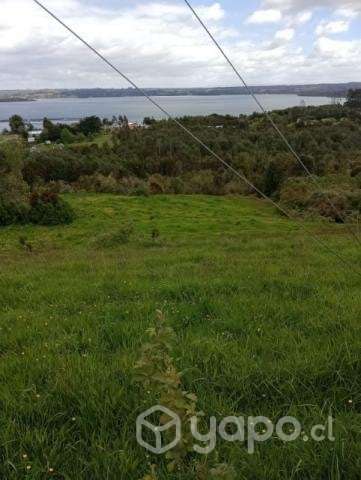 1 1/2 Hectaria de terreno - Imagen 2