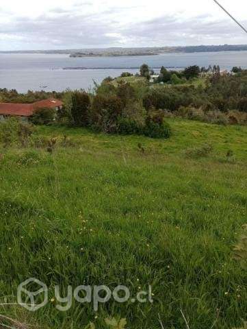 1 1/2 Hectaria de terreno - Imagen 3