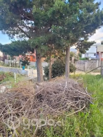 Vendo terreno en pichilemu (laguna el ancho) - Imagen 9