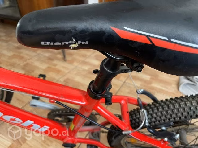 Bianchi Bicicleta Infantil Wolf aro 20