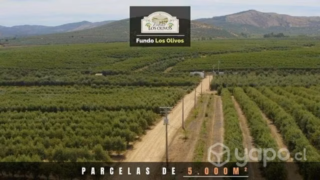 Hermosa parcela en talca