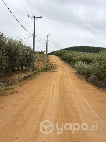 Hermosa parcela en talca