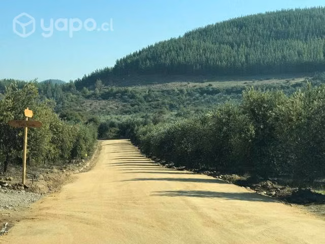 Hermosa parcela en talca