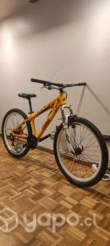 Bicicleta de descenso