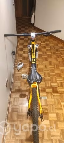 Bicicleta de descenso