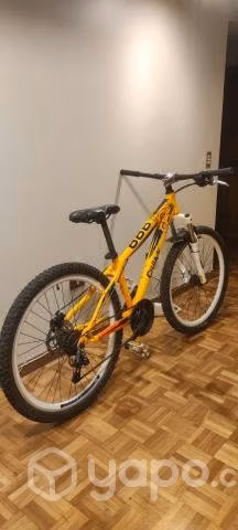 Bicicleta de descenso