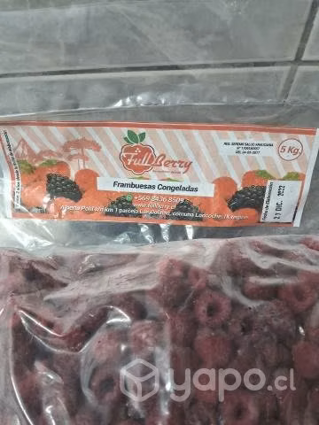 Frambuesas congeladas de calidad