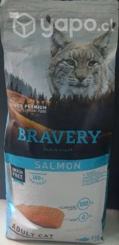 Alimentos para gatos