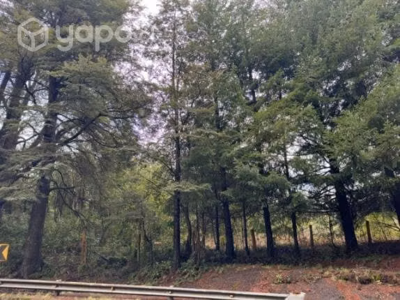 Gran parcela 5000 metros orilla camino y rio pucon - Imagen 4