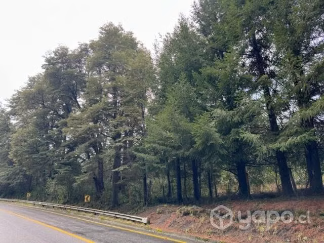 Gran parcela 5000 metros orilla camino y rio pucon - Imagen 3