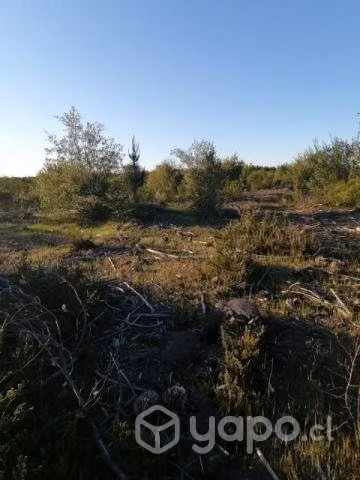 Parcela de 5200mts2