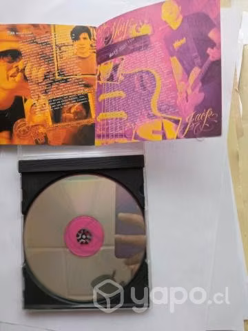 Blink 182 Disco