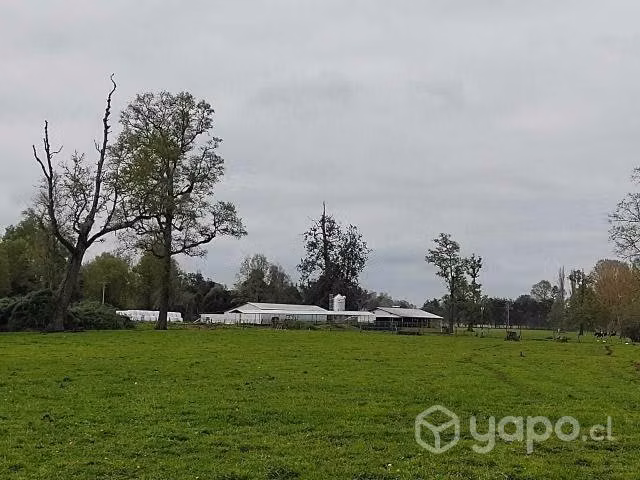 Campo se vende
