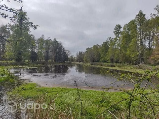 Campo se vende