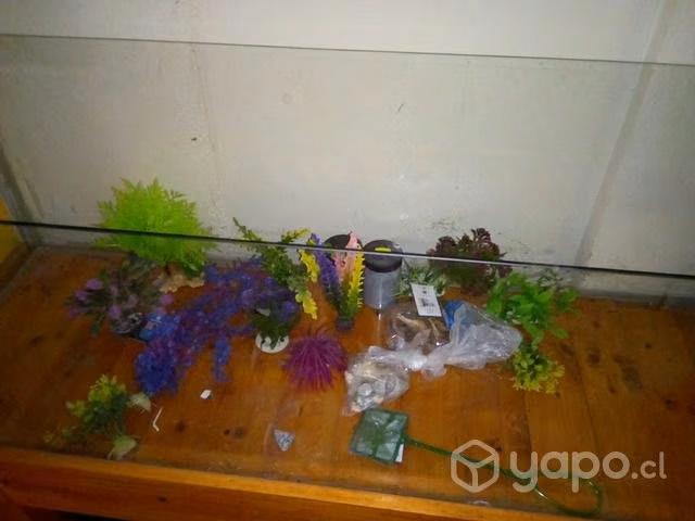 Pecera grande - Imagen 2
