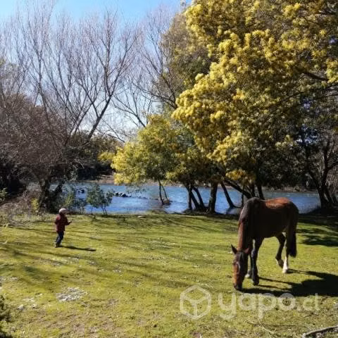 Terreno en Quilaco 1500m2 - Imagen 2
