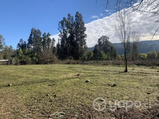Terreno en Quilaco 1500m2 - Imagen 3