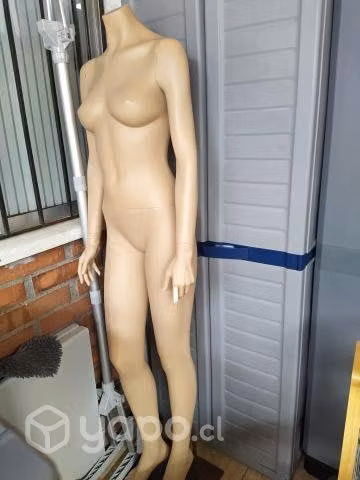 Maniquie vitrina mujer TALLA 38