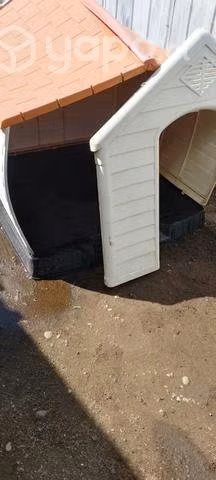 Casita grande de perrito