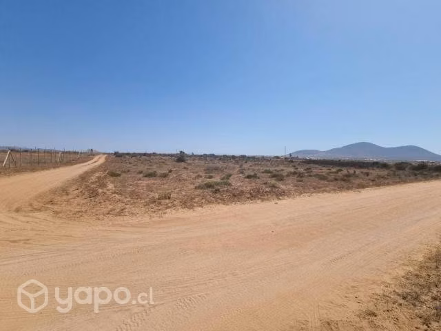Rerreno en tongoycillo - Imagen 3