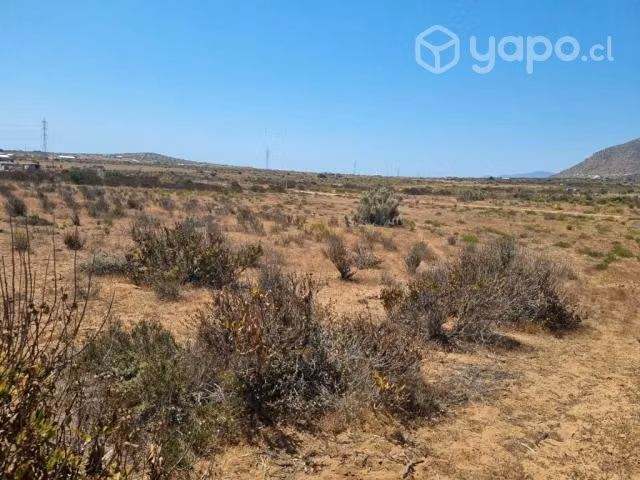 Rerreno en tongoycillo - Imagen 5
